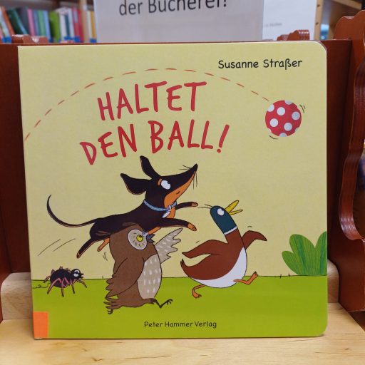 WhatsApp Image 2026-02-09 at 19.48.39