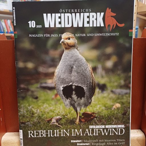 WhatsApp Image 2026-02-09 at 19.58.37