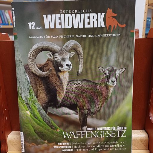 WhatsApp Image 2026-02-09 at 19.58.38