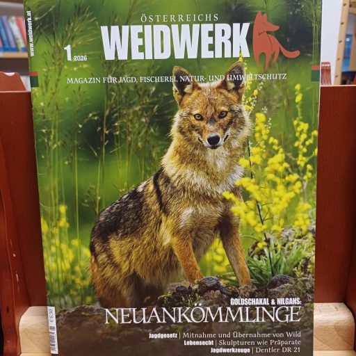 WhatsApp Image 2026-02-09 at 19.58.39