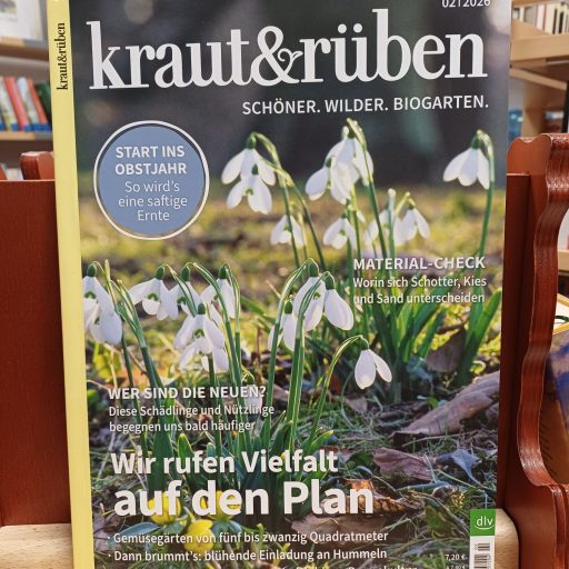 WhatsApp Image 2026-02-09 at 19.58.43