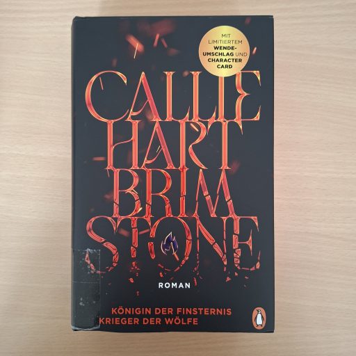 WhatsApp Image 2026-03-30 at 20.42.34 (5)