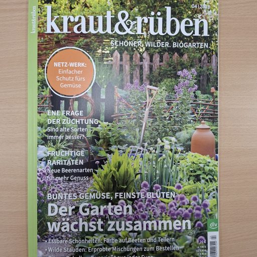 WhatsApp Image 2026-03-30 at 20.42.34