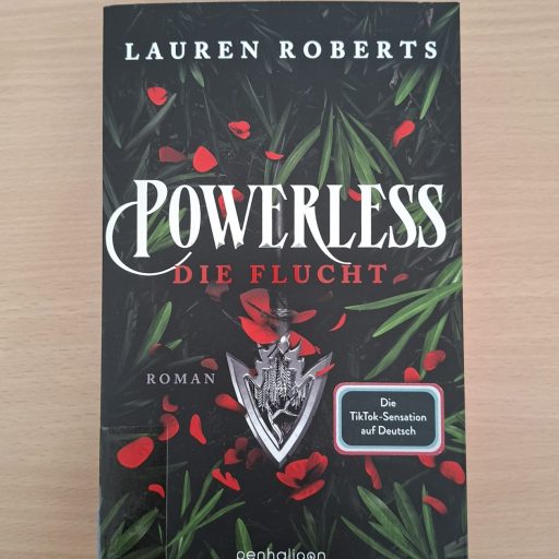 WhatsApp Image 2026-03-30 at 20.42.35 (2)